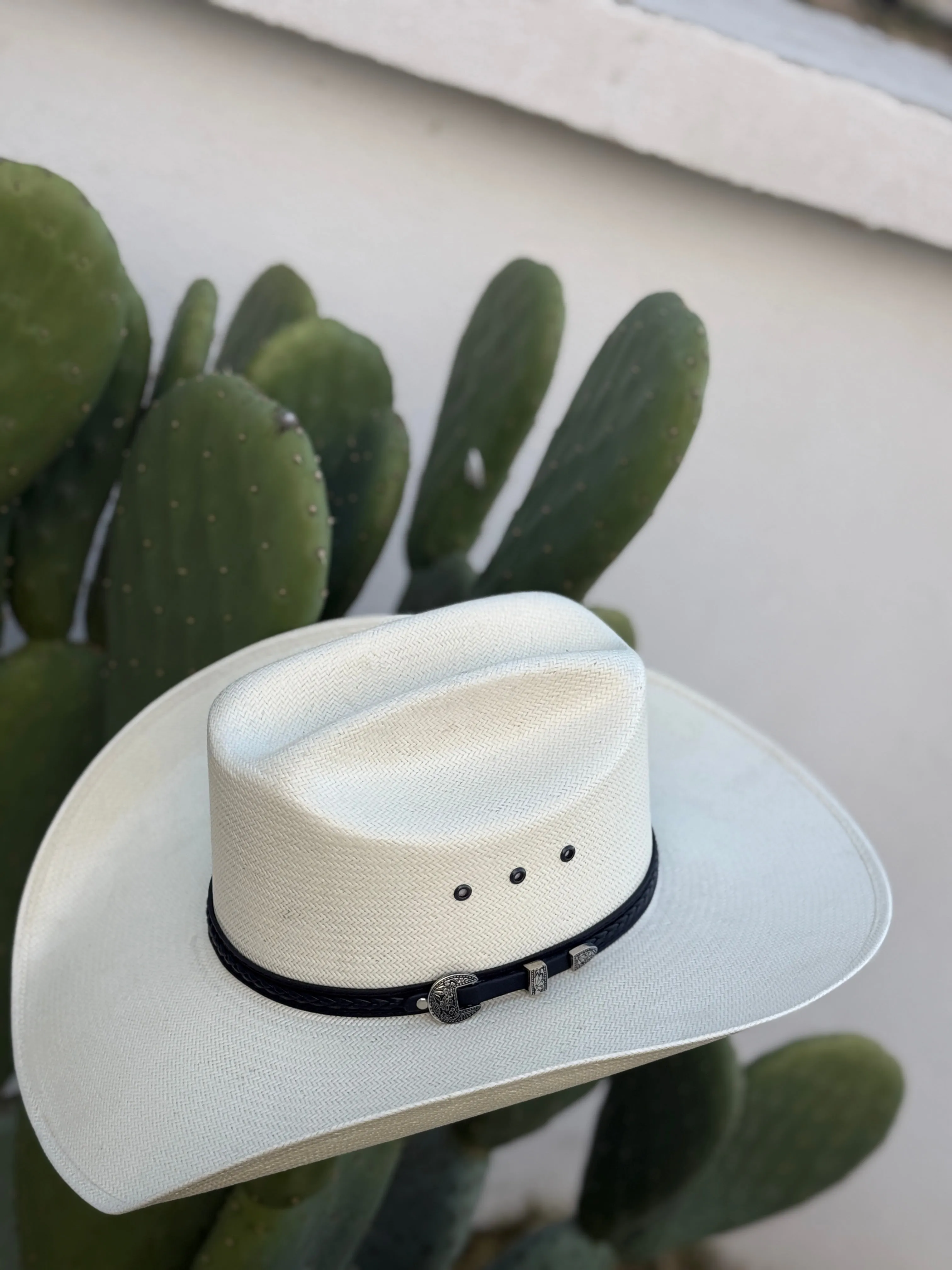 2OX Tombstone Roper