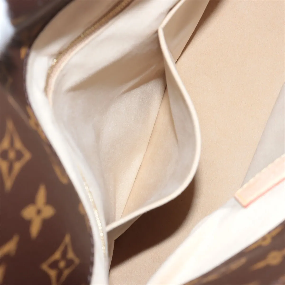 Artsy Canvas Hobo Bag Monogram