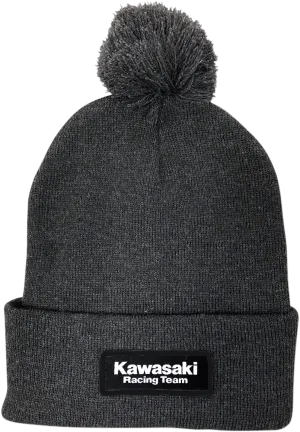 FACTORY EFFEX Kawasaki Pom Beanie - Charcoal 23-86102