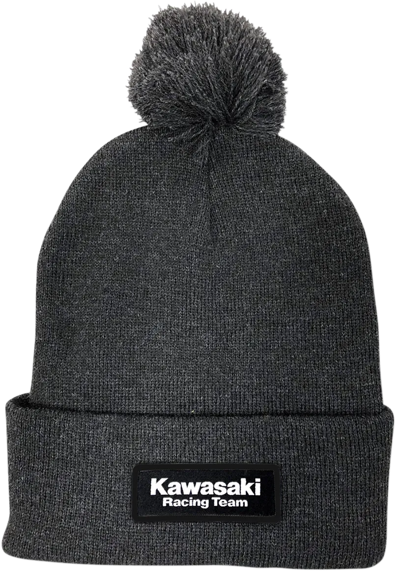 FACTORY EFFEX Kawasaki Pom Beanie - Charcoal 23-86102