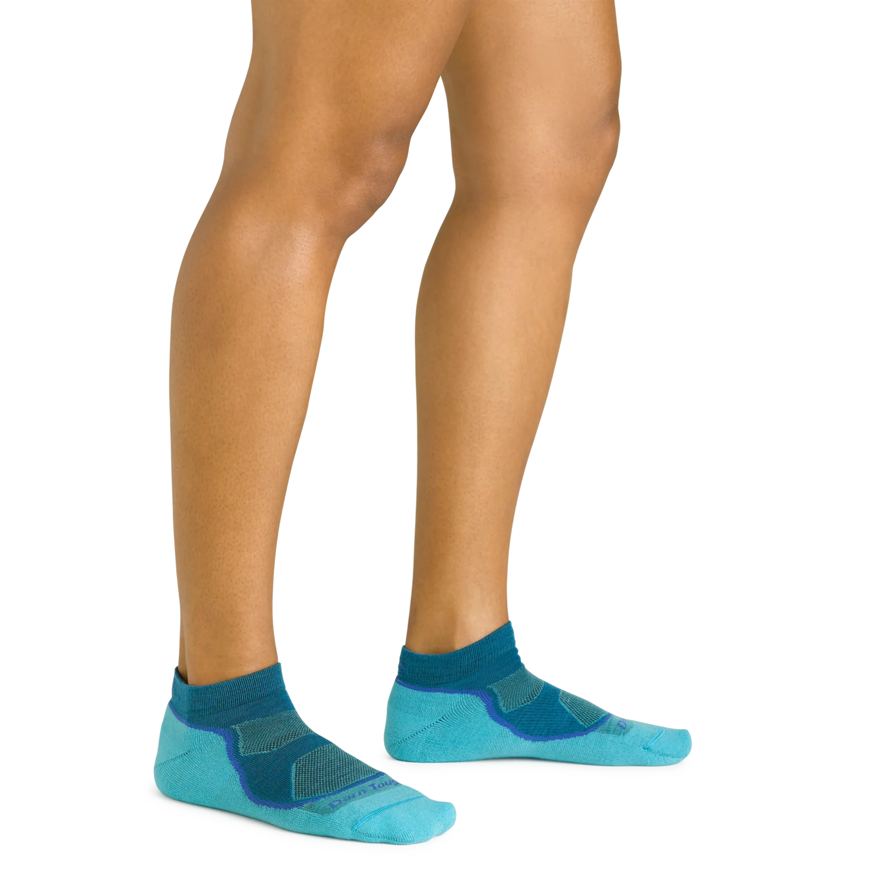 Light Hiker No Show Lightweight Hiking Sock