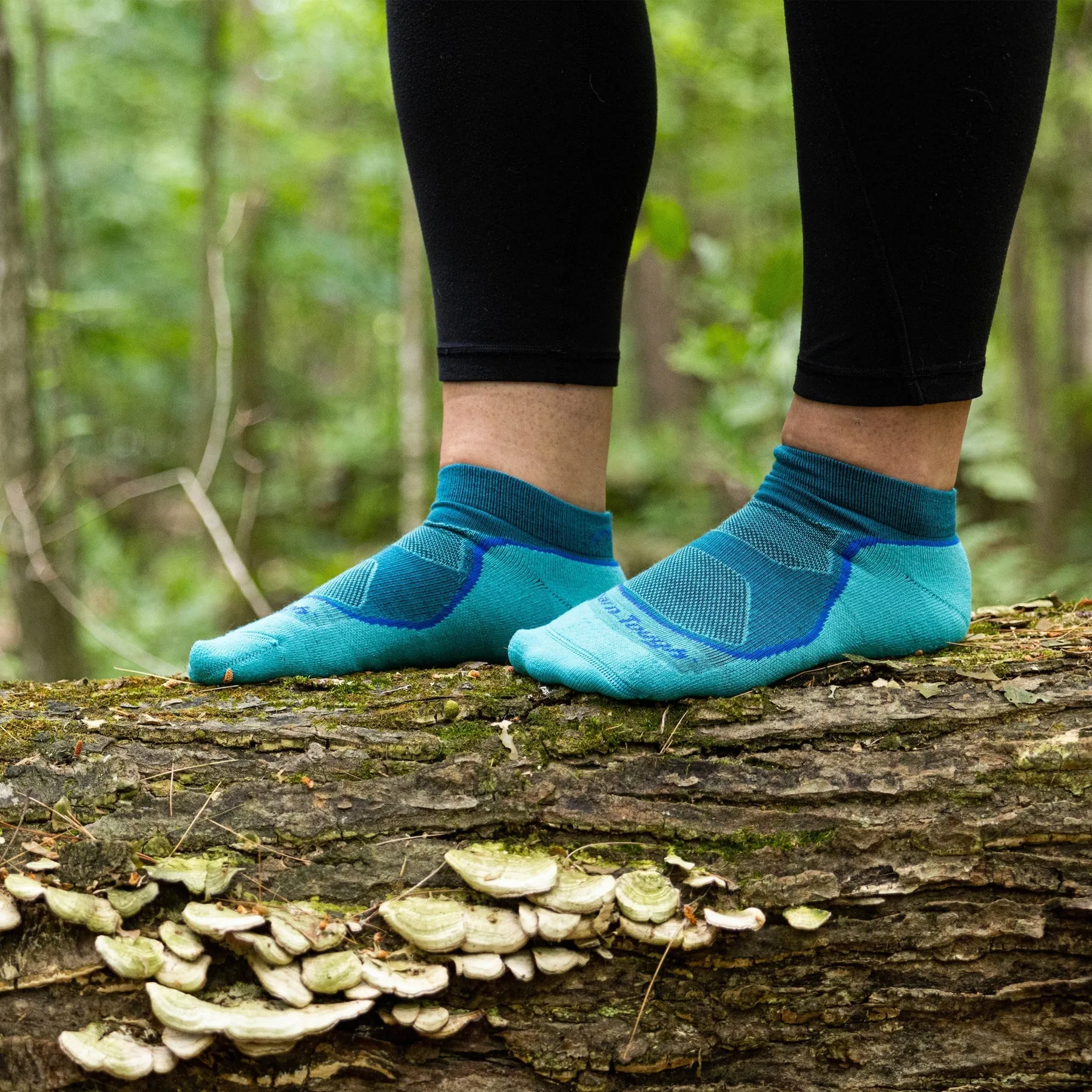 Light Hiker No Show Lightweight Hiking Sock