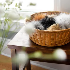 Pom Pom with Snap Detachable