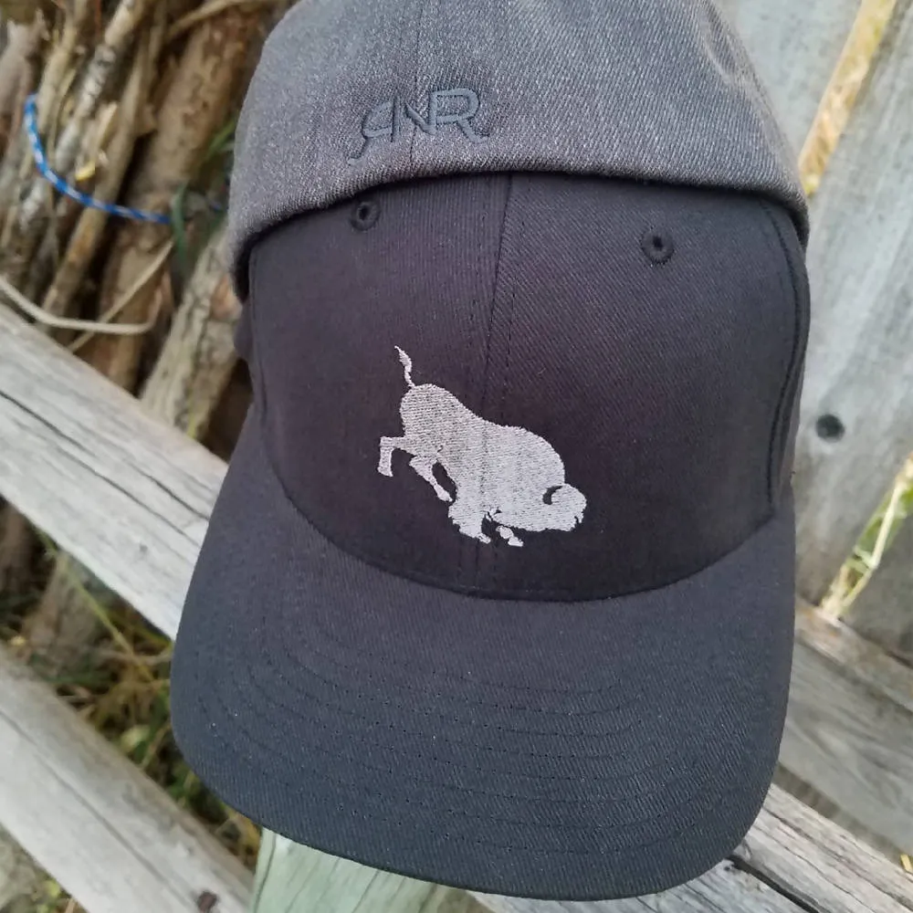 RNR IV & Bucking Bison Cap
