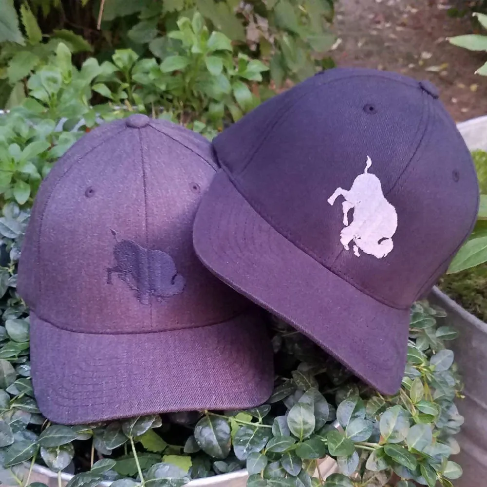 RNR IV & Bucking Bison Cap