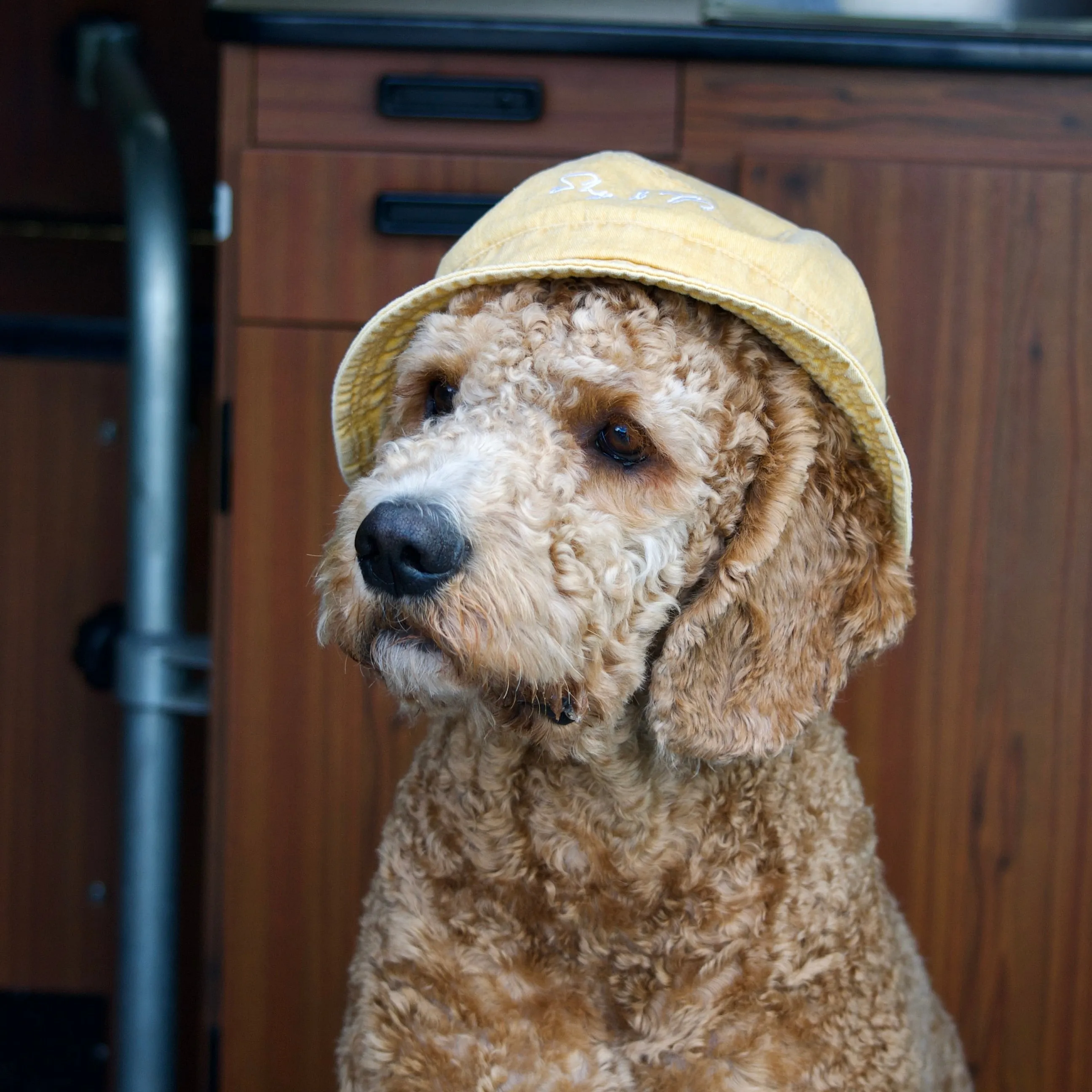 Yellow Bucket Hats